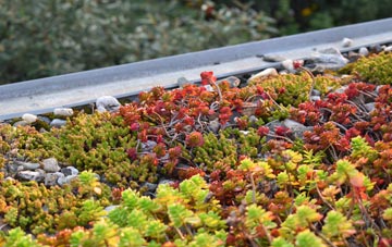 the cost of Shillingstone green roof installation