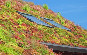 Shillingstone living roof systems