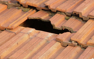 roof repair Shillingstone, Dorset