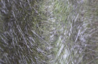 Shillingstone fibreglass roof work